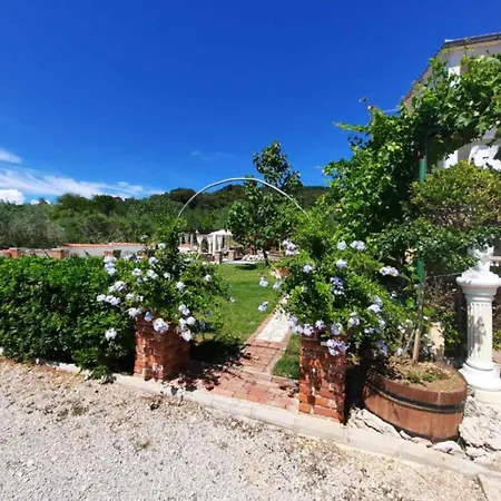 Apartment Two Bedroom With Terrace A3 *